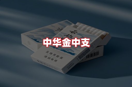 中华金中支
